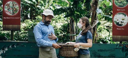 Two people holding a basket and talking to each other in Costa Rica