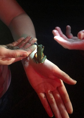 zoomed in hands with a green frog