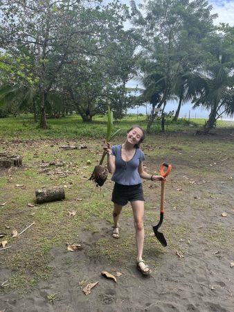 a person holding a shovel and a coconut