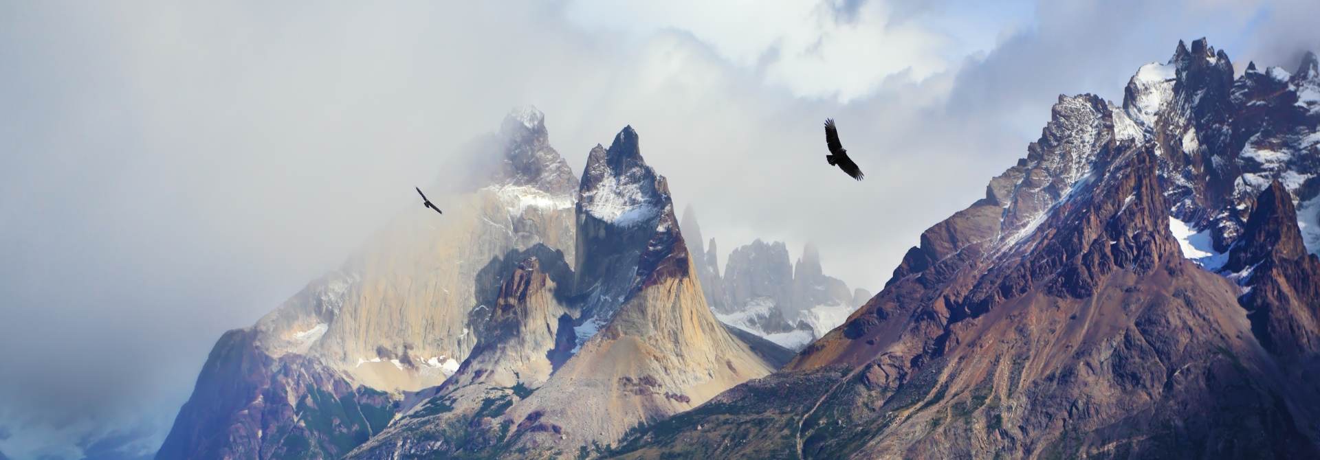 Condors flying over the Andes Mountains