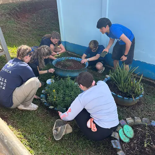 Group of volunteers gardening