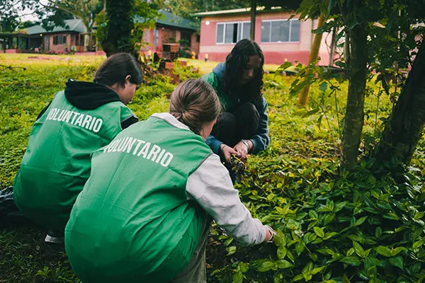 Volunteers participating in a community gardening project