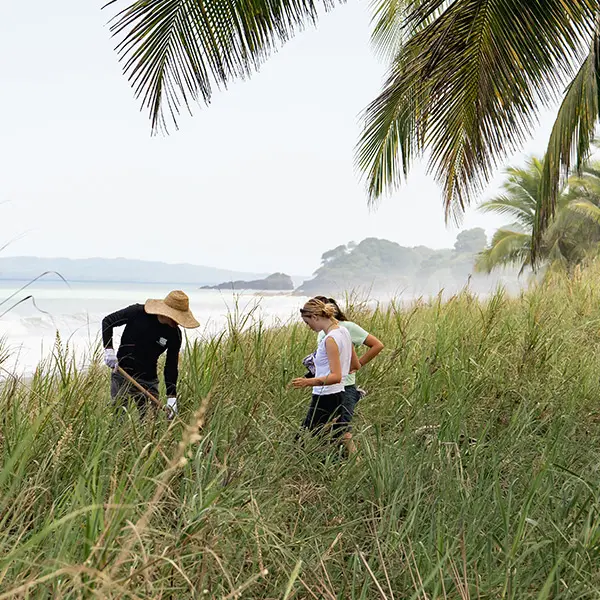 Panama Programs