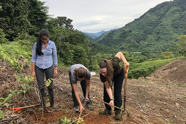 Volunteers and a local partner digging soil on a hillside for a service project