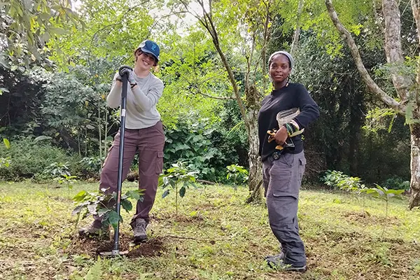 Volunteer working on reforestation service activity