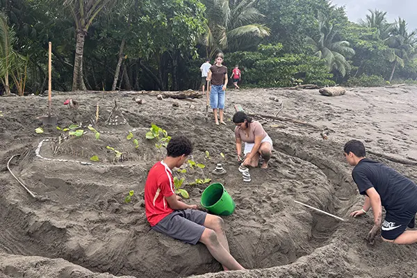 Volunteers building a large sand structure on a dark sand beach
