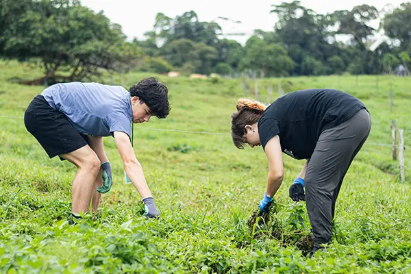 Volunteers working on a farm