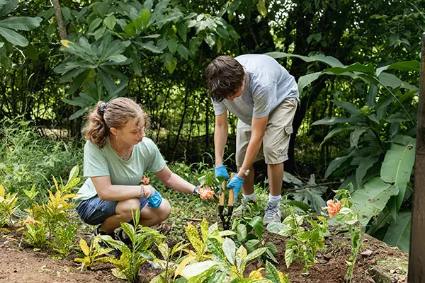 Volunteers doing reforestation service work