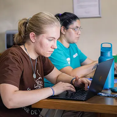 Learn more about the AMIGOS application process