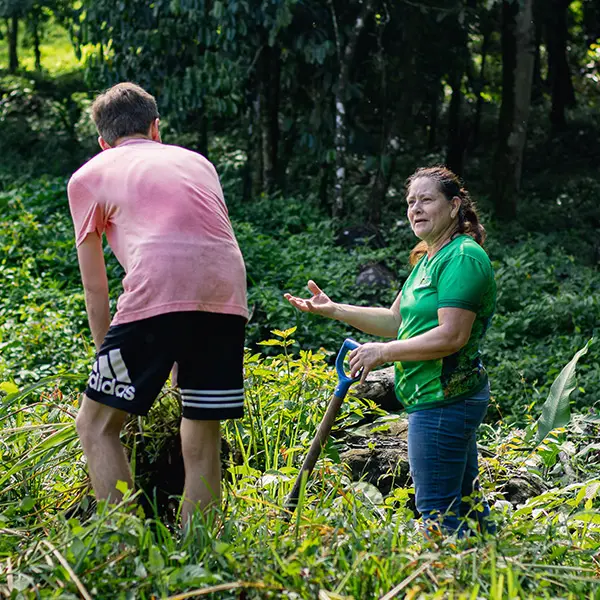 Collaborate directly with local organizations and community members