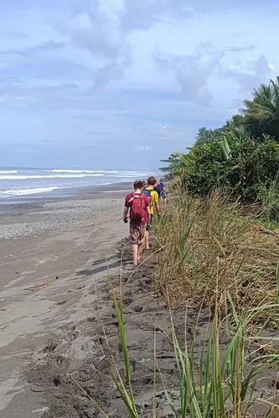 Volunteers hiking along a sandy coastline near tropical foliage