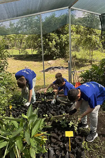 Volunteers working together in a shaded greenhouse structure