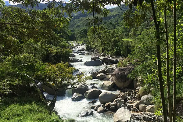 Scenic rocky river flowing through a lush tropical mountain forest