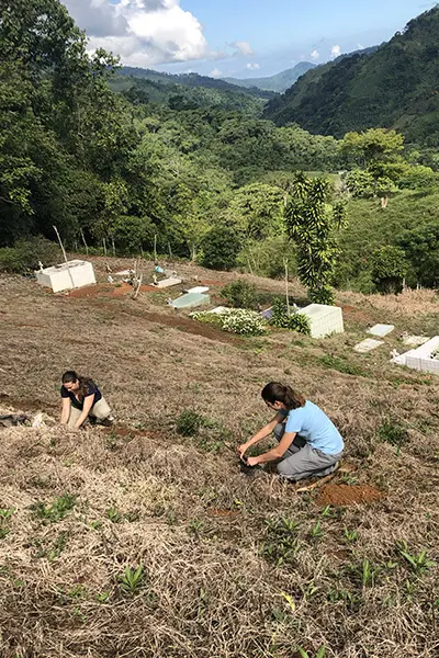 Two volunteers planting on a grassy hillside overlooking a mountain valley
