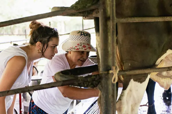 Connect with the local culture