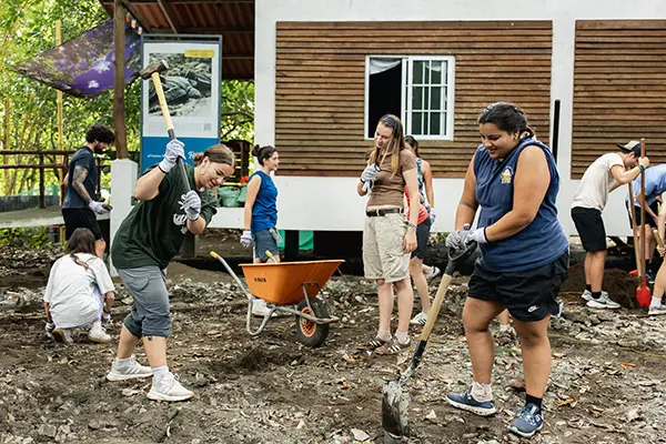 Volunteers doing service work