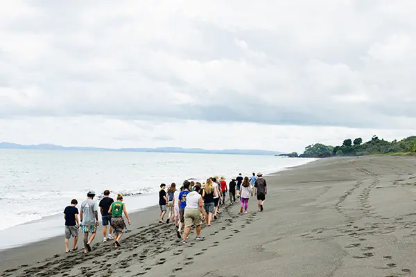 Volunteers walking on the beach