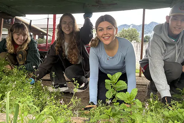 Volunteers doing gardening work