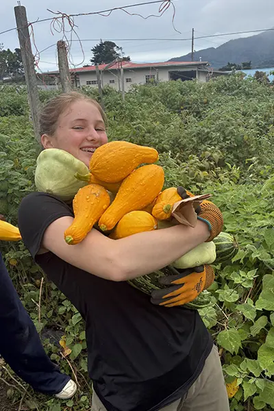 Volunteer carrying freshly harvested vegetables