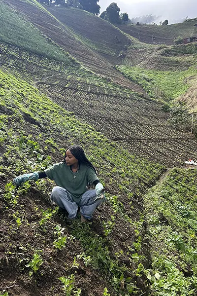 Volunteer working in a hillside farm garden