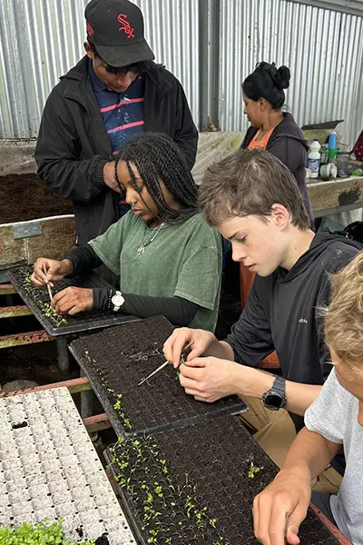 Volunteers planting seedlings into seed trays inside a greenhouse