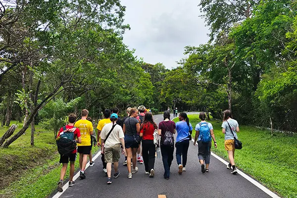 Volunteers walking on the road