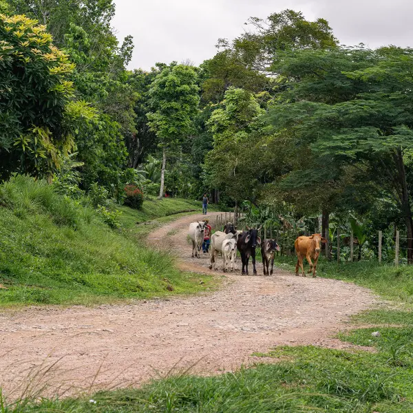 Local community in Panama