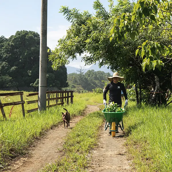 Service work in Panama