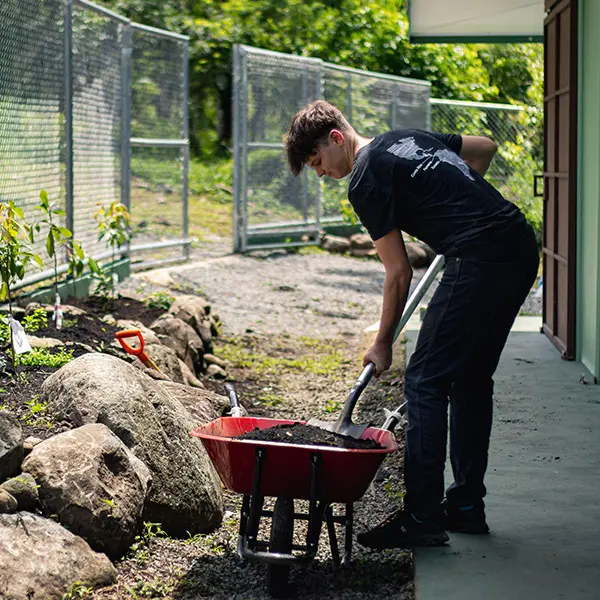 Work on conservation service activities