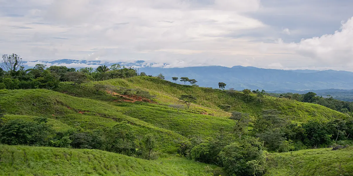 Enjoy stunning landscapes