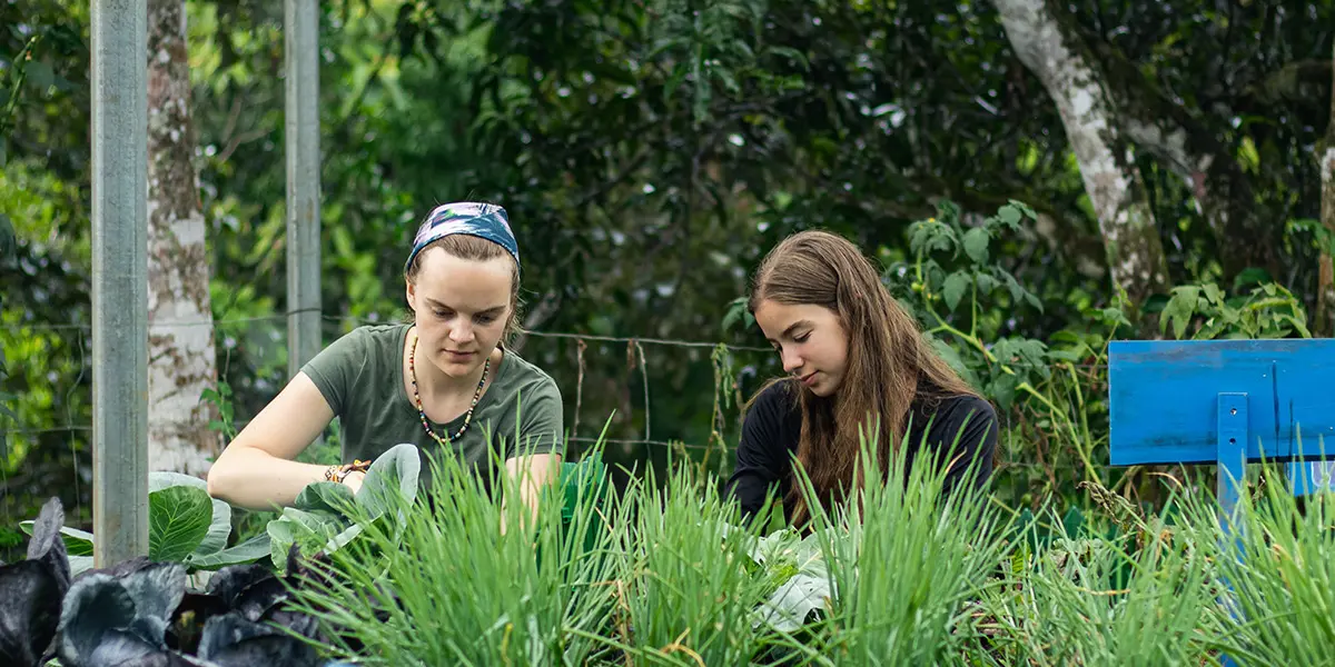 Support local organizations with hands-on work