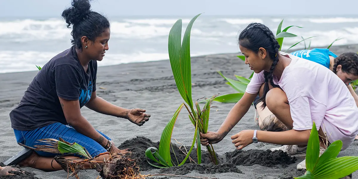 Reforestation work in the Caribbean coast