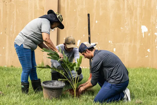 Service activities in El Pacifico