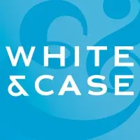 white__case_logo