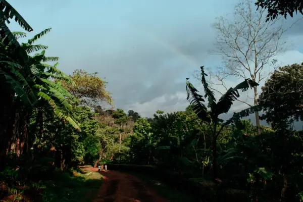 AMIGOSview-1920×1080.jpg