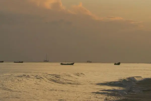 Banner-1-Cocle.jpg