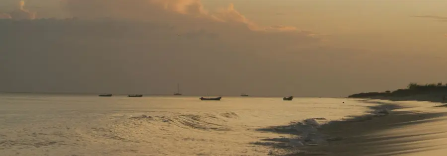 Banner-1-Cocle.jpg