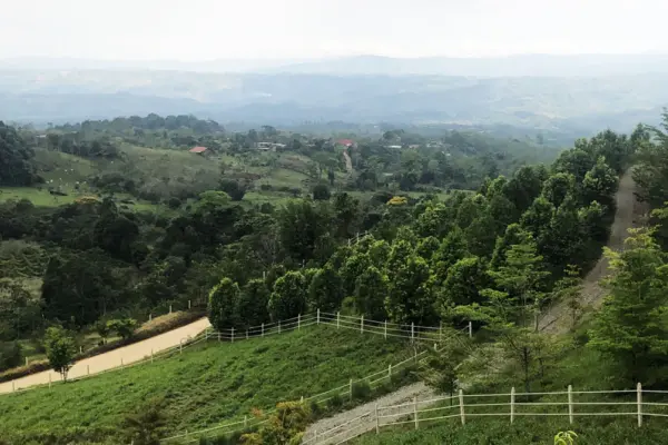 CR-hillside-1920×670.jpg