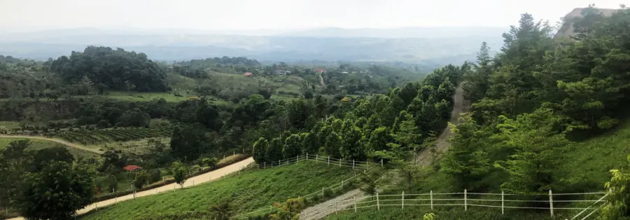 CR-hillside-1920×670.jpg