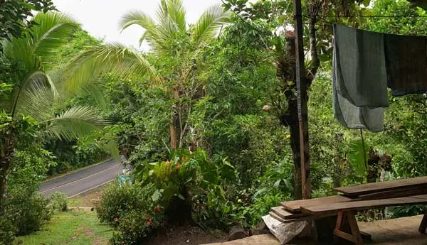 Cocle2019_121-650×345-1.jpg