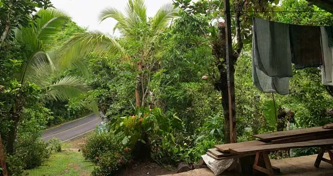 Cocle2019_121-650×345-1.jpg