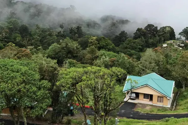 Costa-Rica-Palmares-1920×670.jpg