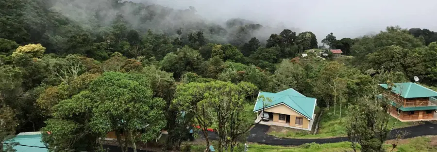 Costa-Rica-Palmares-1920×670.jpg