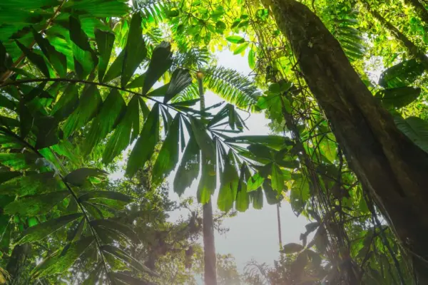 CostaRicaBanner1.jpg