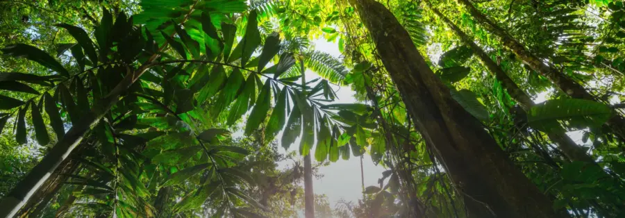 CostaRicaBanner1.jpg