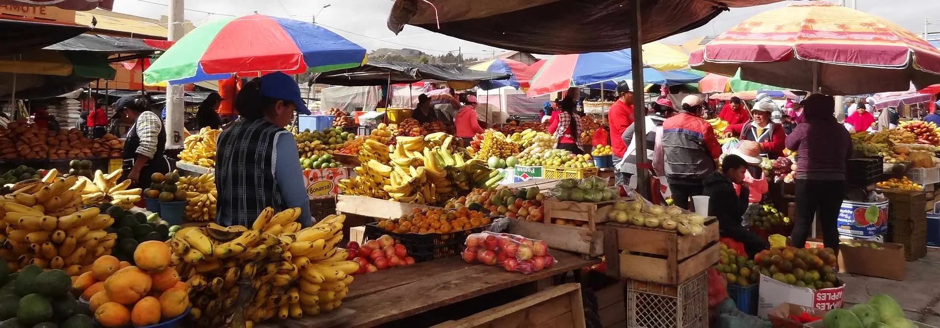 Market in Chimborazo Province, Ecuador