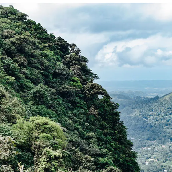 Discover-AMIGOS-Panama-2022-1943-600×600-1.jpg