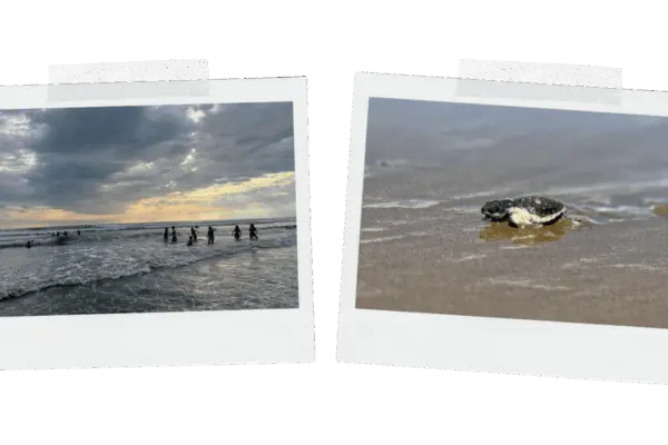 GapBlogs_11.1.png