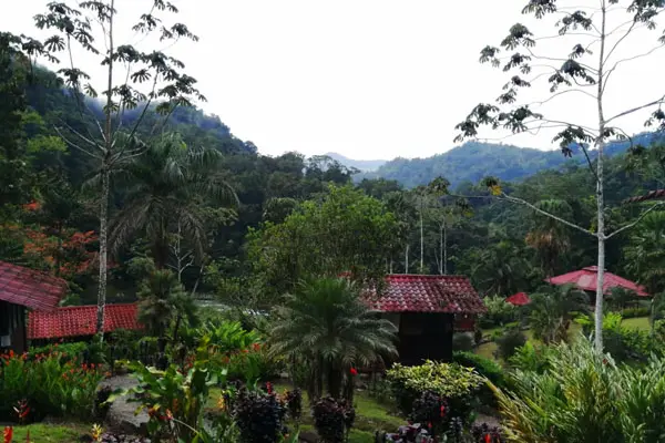 Image_2-2021-02-26_12-57-19-600×450-1.jpg