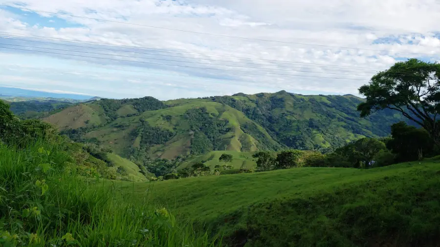 Monteverde-2021.166-1920×1080-1.jpg